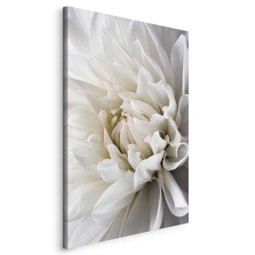 Quadro White Dahlia