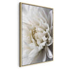 Quadro White Dahlia