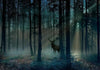 Fotomurale Mystical Forest Third Variant