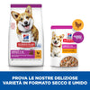 Hill's Mantenimento secco Cani Adulti Mini pollo