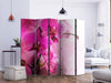Paravento Pink Orchid II [divisori da interno]