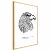 Poster - Eagle of Freedom
