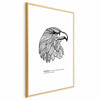 Poster - Eagle of Freedom