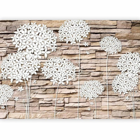 Fotomurale Composizione di fiori sul muro