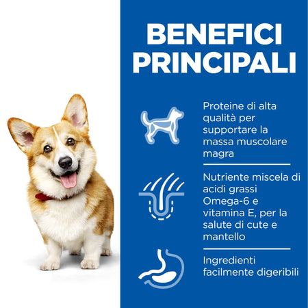 Hill's Mantenimento secco Cani Adulti Mini pollo