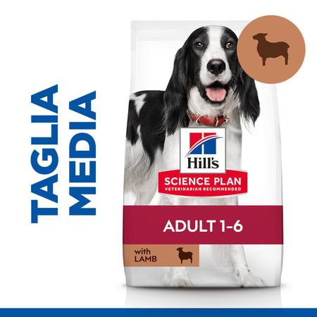 Hill's Mantenimento secco Cani Adulti Medium agnello e riso