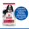 Hill's Mantenimento secco Cani Adulti Medium agnello e riso