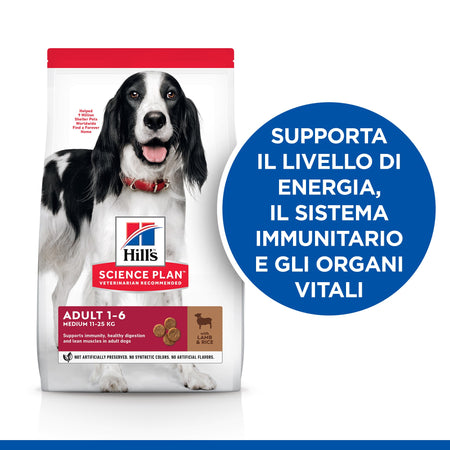 Hill's Mantenimento secco Cani Adulti Medium agnello e riso