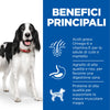 Hill's Mantenimento secco Cani Adulti Medium agnello e riso