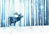 Carta da Parati Deer in the Snow Blue