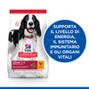 Hill's Mantenimento secco Cani Adulti Medium pollo