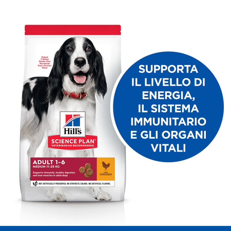 Hill's Mantenimento secco Cani Adulti Medium pollo