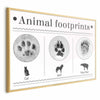 Poster - Paw Prints