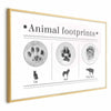 Poster - Paw Prints