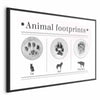 Poster - Paw Prints