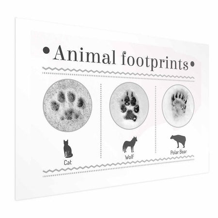 Poster - Paw Prints