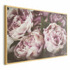 Poster - Pink Peonies