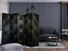 Paravento Distinguished Elegance II [Room Dividers]
