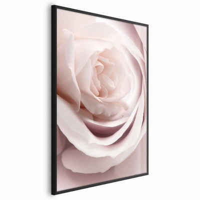 Poster - Porcelain Rose