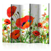 Paravento Country poppies II [divisori da interno]