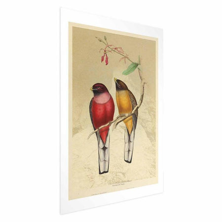 Poster - Birds on a Branch