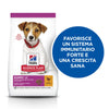 Hill's Mantenimento Secco Cani Puppy Mini pollo 1,5 kg