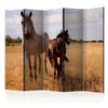 Paravento Horse and foal II [Room Dividers]