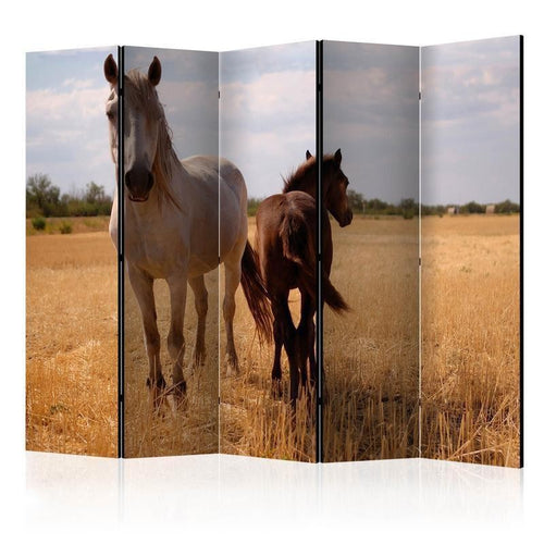 Paravento Horse and foal II [Room Dividers]