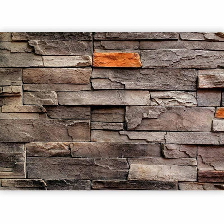 Fotomurale adesivo Stony Bedrock