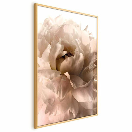 Poster - Soft Petals