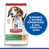 Hill's Mantenimento secco Cani Puppy Medium pollo