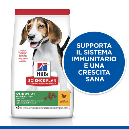 Hill's Mantenimento secco Cani Puppy Medium pollo
