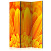 Paravento Yellow gerbera daisies [Room Dividers]