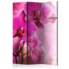 Paravento Pink Orchid [divisori da interno]