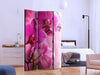 Paravento Pink Orchid [divisori da interno]