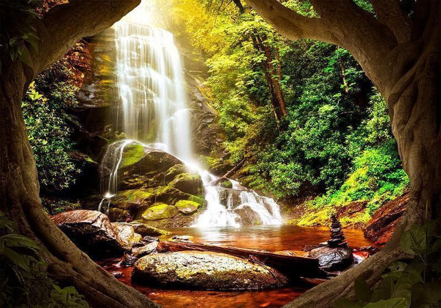 Fotomurale Forest Refuse