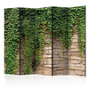Paravento Ivy wall II [Room Dividers]