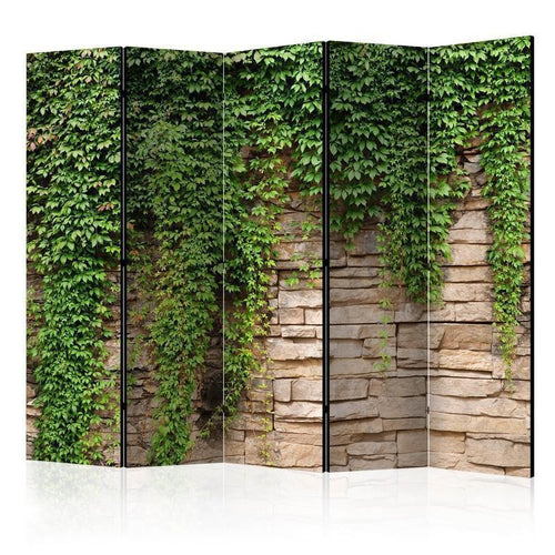 Paravento Ivy wall II [Room Dividers]