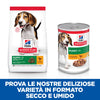 Hill's Mantenimento secco Cani Puppy Medium pollo