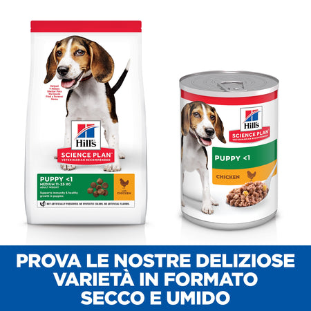 Hill's Mantenimento secco Cani Puppy Medium pollo