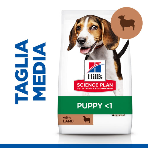 Hill's Mantenimento secco Cani Puppy Medium agnello e riso