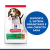 Hill's Mantenimento secco Cani Puppy Medium agnello e riso