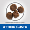 Hill's Mantenimento secco Cani Puppy Medium agnello e riso