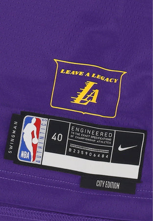 NIKE NBA Canotta Basket Uomo Nba City Edition 2024/25 Dri-fit Swingman Jersey No 23 Lebron James Loslak Field Purple da uomo