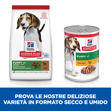 Hill's Mantenimento secco Cani Puppy Medium agnello e riso