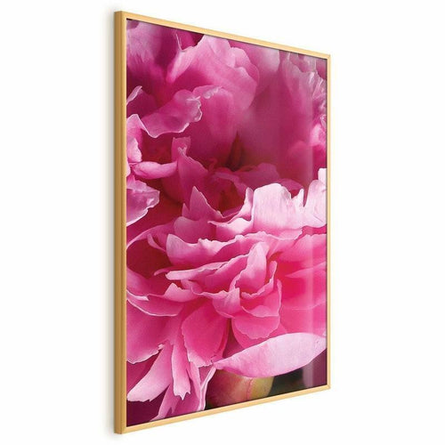 Poster - Beautiful Peonies