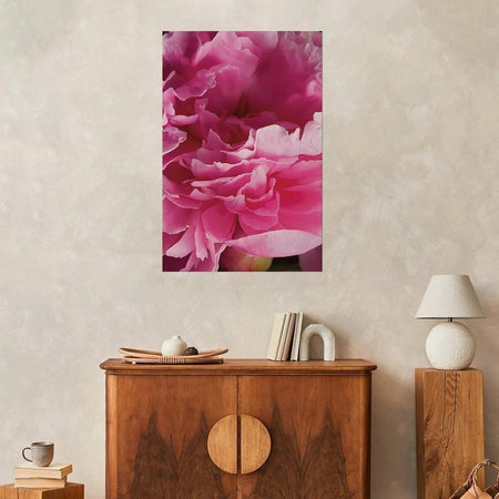 Poster - Beautiful Peonies