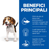 Hill's Mantenimento secco Cani Puppy Medium agnello e riso