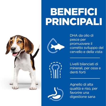 Hill's Mantenimento secco Cani Puppy Medium agnello e riso