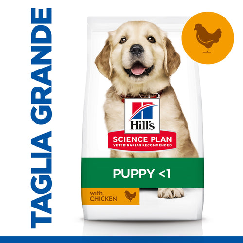 Hill's Mantenimento secco Cani Puppy Large pollo 12 kg